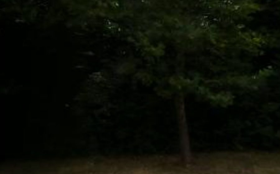 Vue du Rond-point anonyme n°47936747