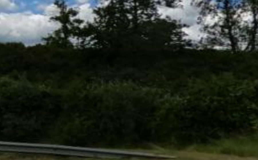 Vue du Rond-point anonyme n°482047496
