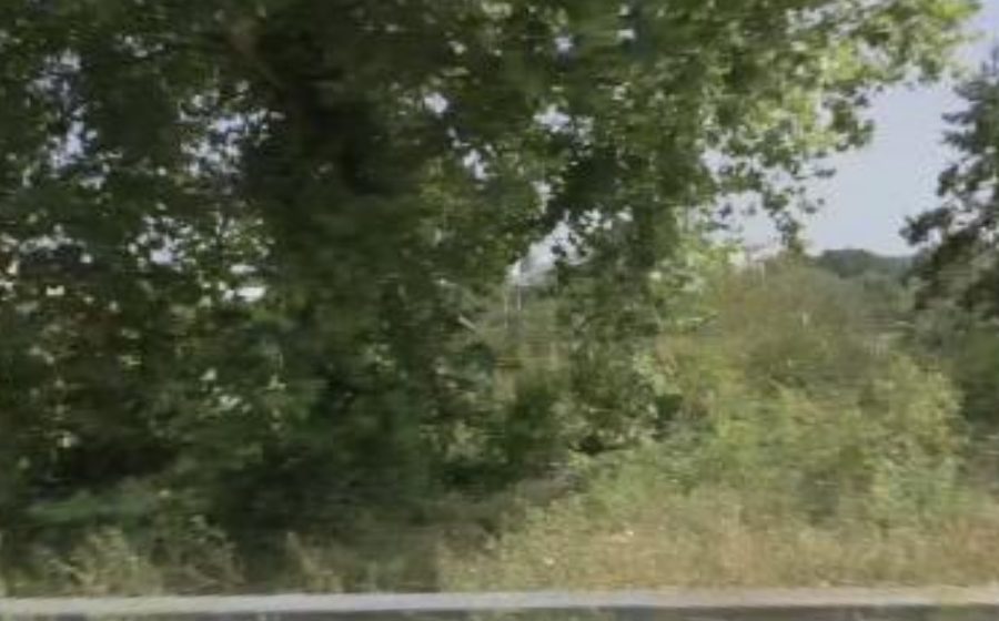 Vue du Rond-point anonyme n°495841592