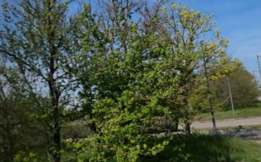 Vue du Eurexpo Porte Ouest Visiteurs