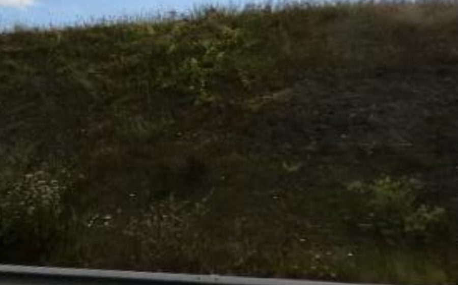 Vue du Rond-point anonyme n°500838819