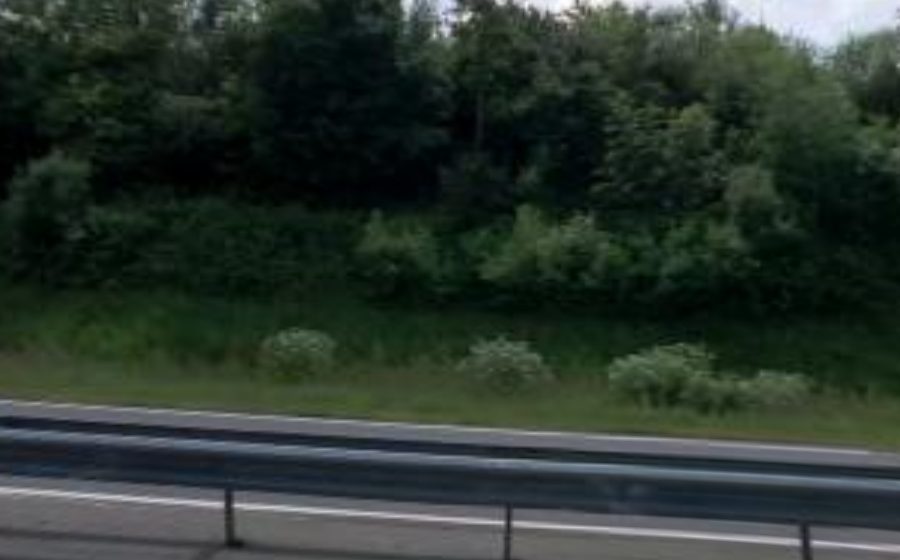 Vue du Rond-point anonyme n°50563371