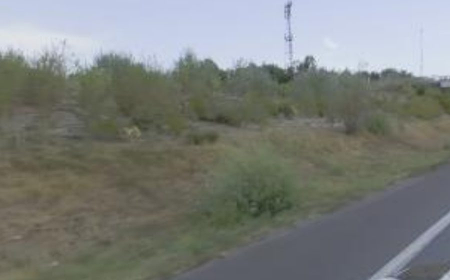 Vue du Rond-point anonyme n°508182515