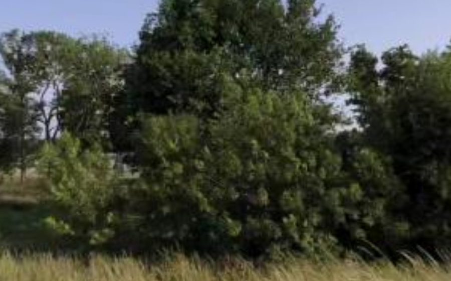 Vue du Rond-point anonyme n°514717501