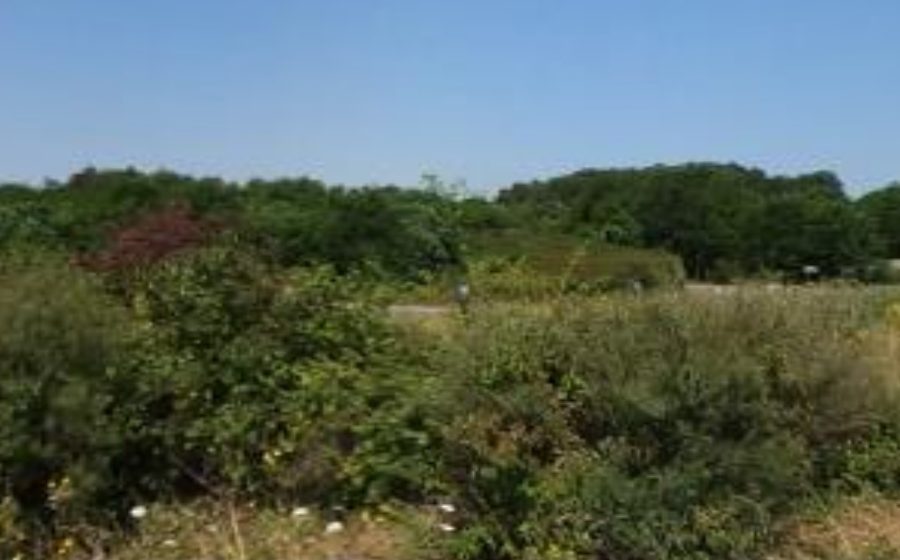 Vue du Rond-point anonyme n°51676719