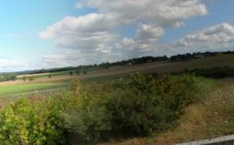 Vue du Rond-point anonyme n°51676726