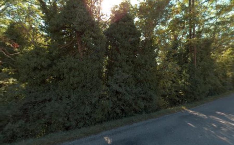 Vue du Rond-point anonyme n°5184404