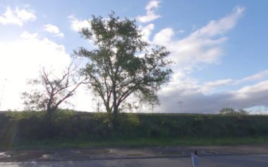 Vue du Rond-point anonyme n°5203262