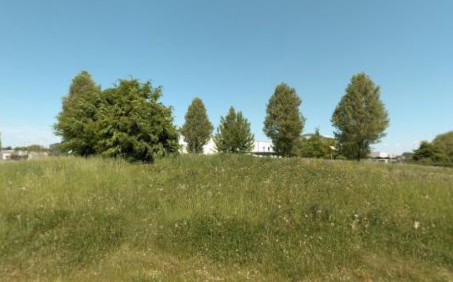 Vue du Rond-Point du Professeur Armand