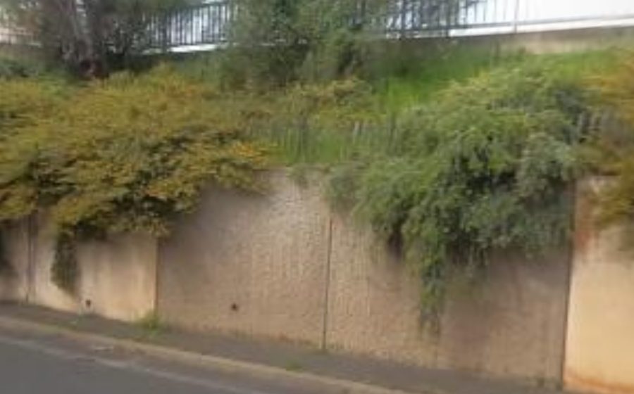 Vue du Rond-point anonyme n°52154593