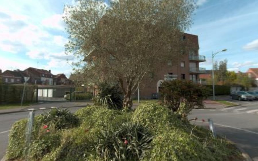 Vue du Rond-point anonyme n°52249311