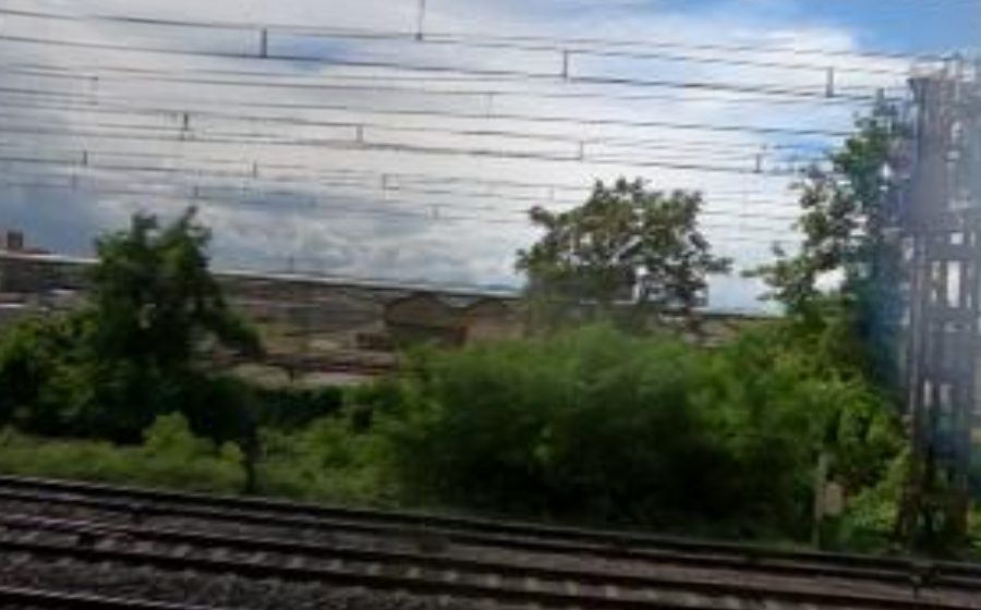 Vue du Rond-point anonyme n°52737565