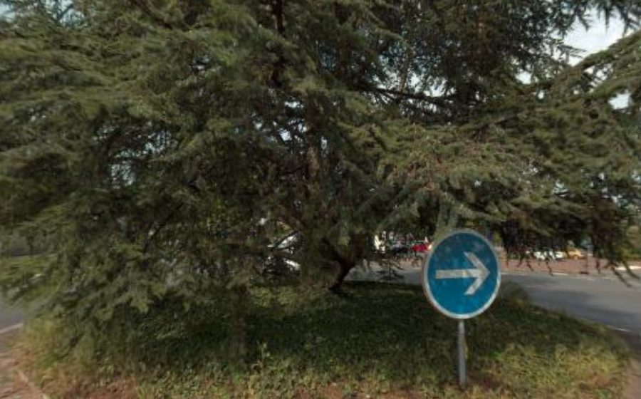 Vue du Rond-point anonyme n°53505739