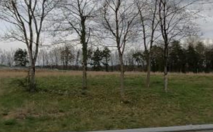 Vue du Rond-point anonyme n°553336524