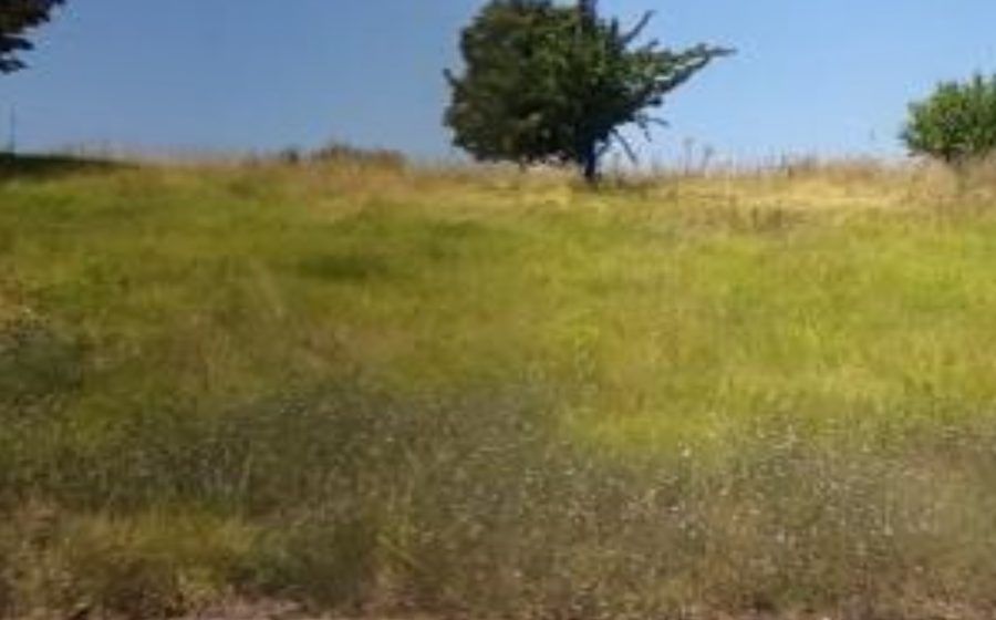 Vue du Rond-point anonyme n°55576795