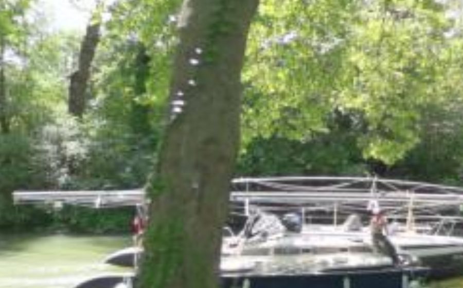 Vue du Rond-point anonyme n°557050173