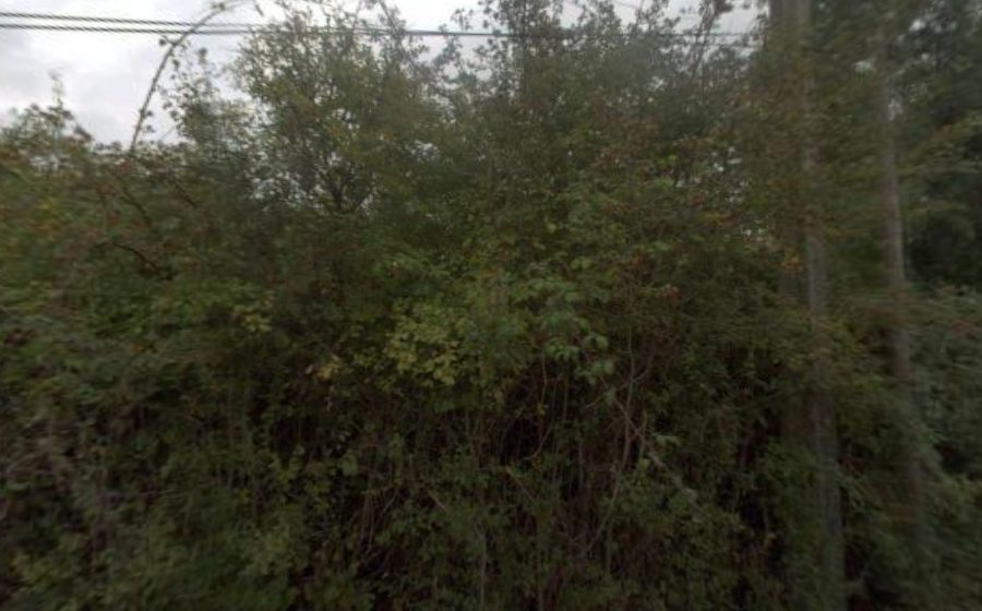 Vue du Rond-point anonyme n°56202422