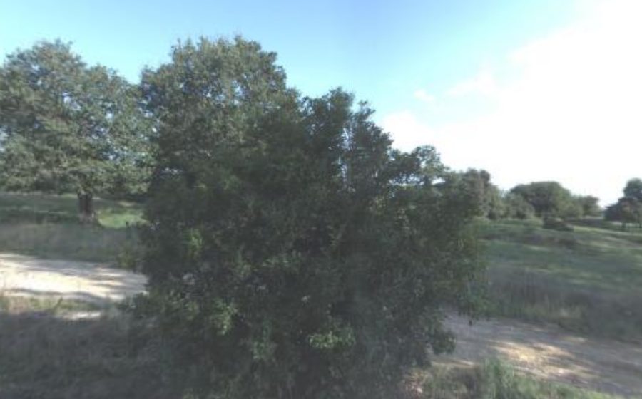 Vue du Rond-point anonyme n°57963606