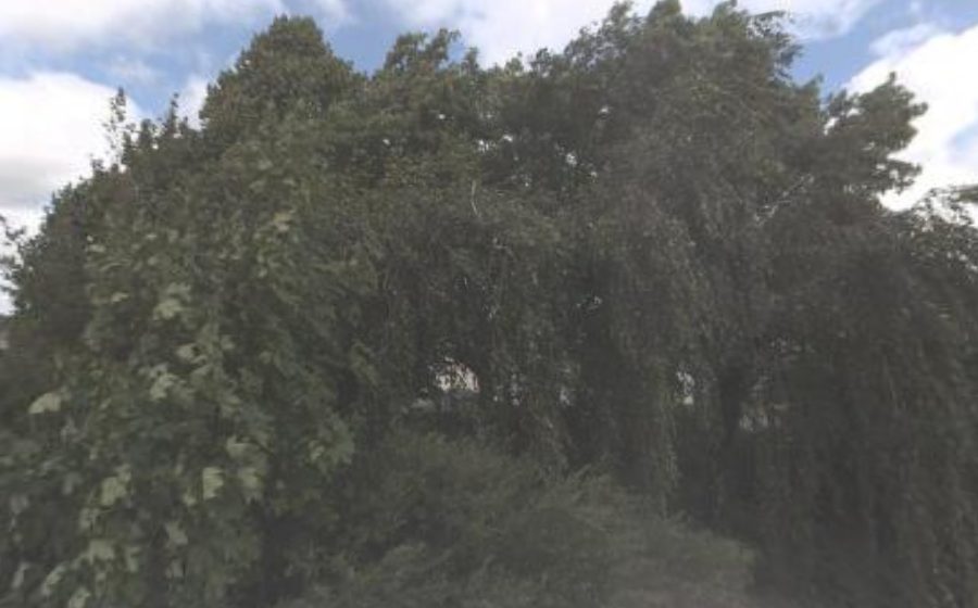 Vue du Rond-point anonyme n°58117130