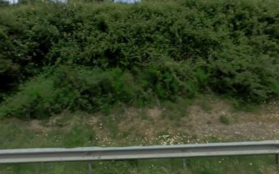 Vue du Rond-point anonyme n°591848295