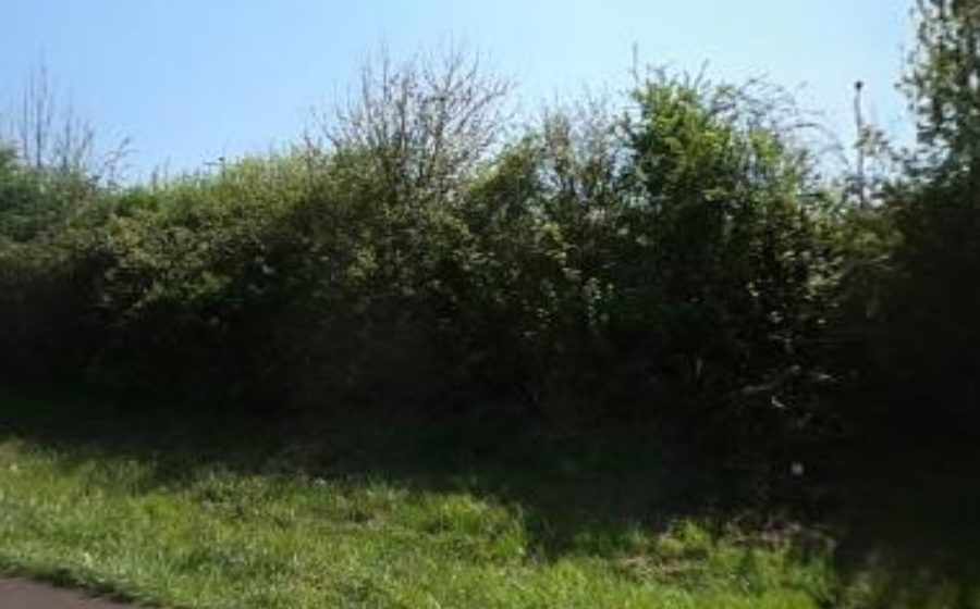 Vue du Rond-point anonyme n°595901236