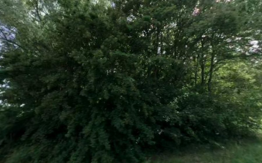 Vue du Rond-point anonyme n°6080011