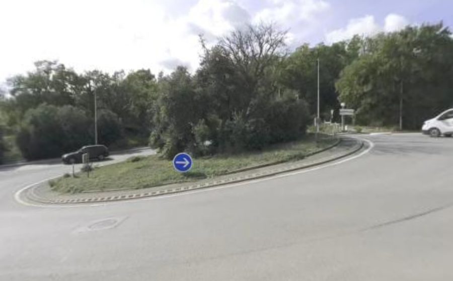 Vue du Carrefour des Chênes Liège