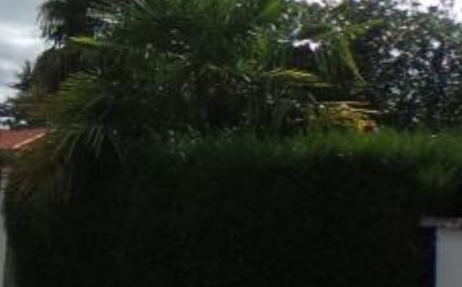 Vue du Avenue Beau Soleil