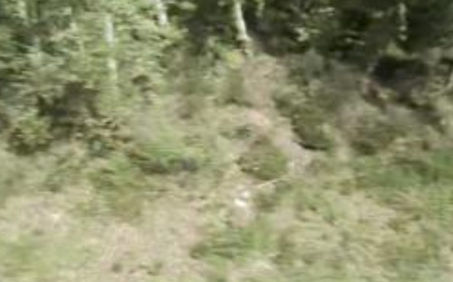 Vue du Rond-point anonyme n°67520320