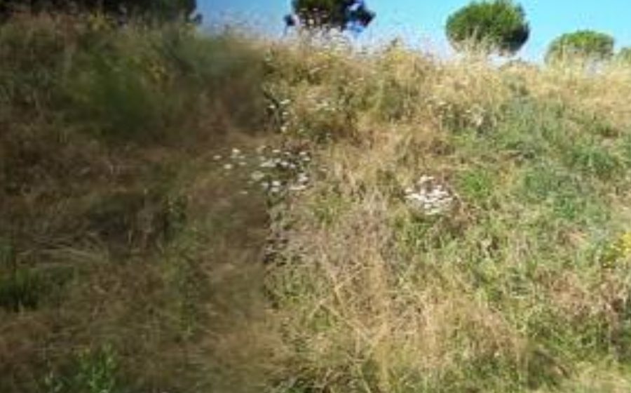Vue du Rond-point anonyme n°681199024