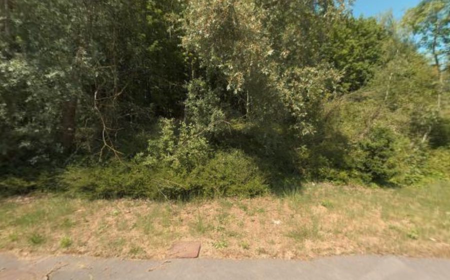 Vue du Rond-point anonyme n°694694165