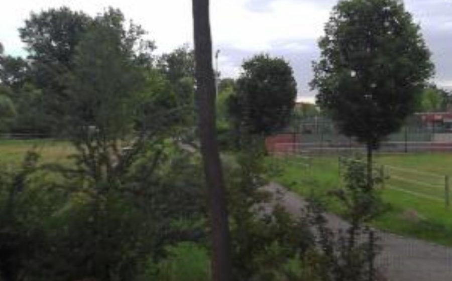 Vue du Promenade du Girlenhirsch