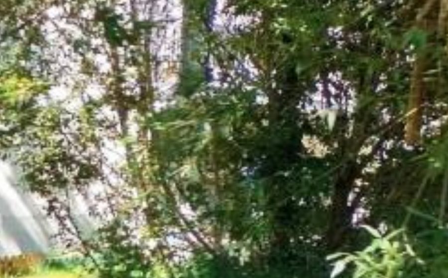 Vue du Rond-point anonyme n°71545599