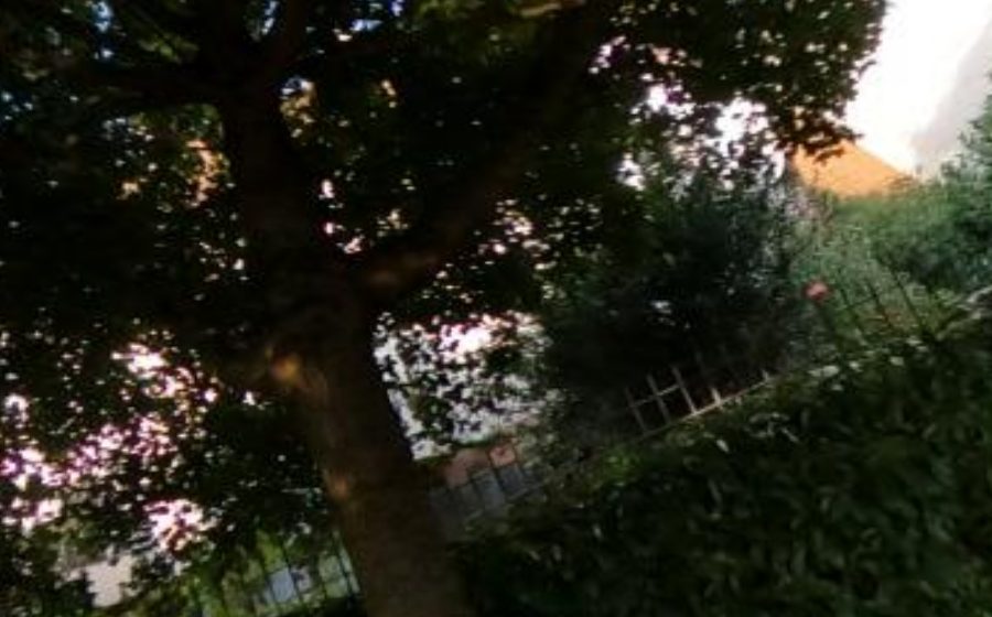 Vue du Rond-point anonyme n°715675473