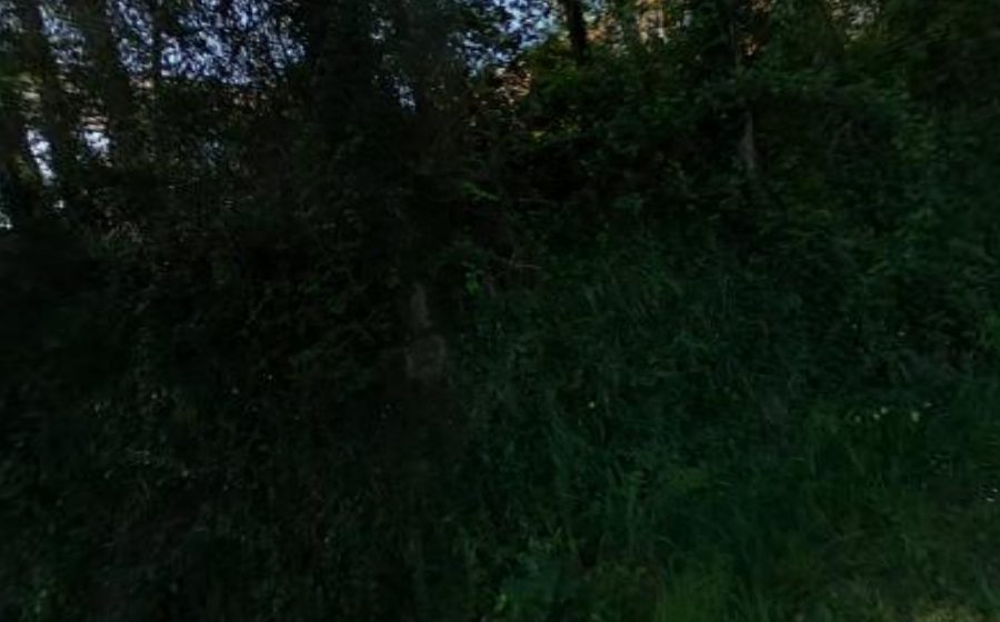 Vue du Rond-point anonyme n°715990403