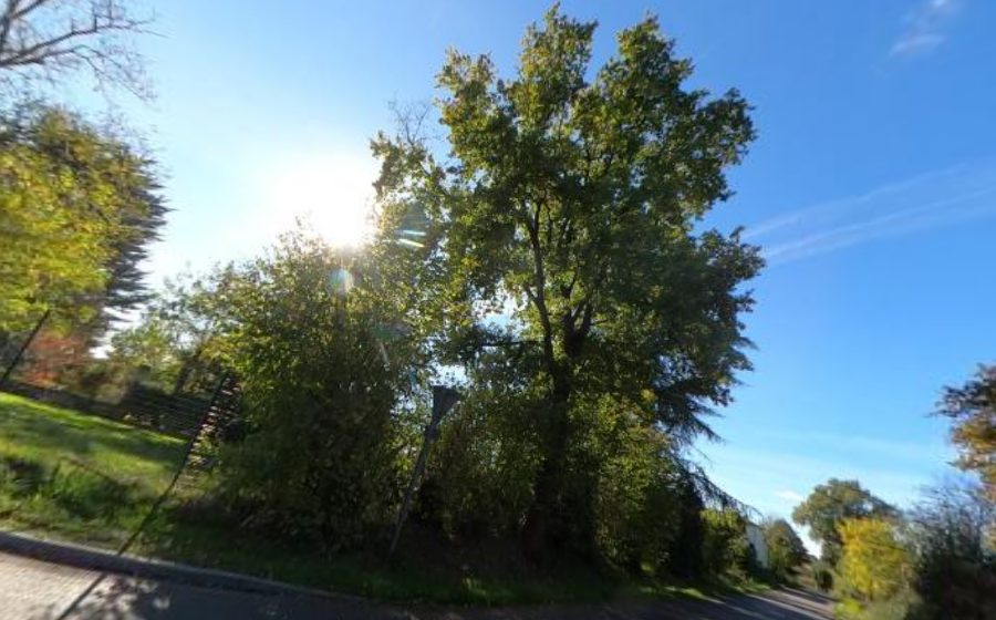 Vue du Rond-point anonyme n°763229063