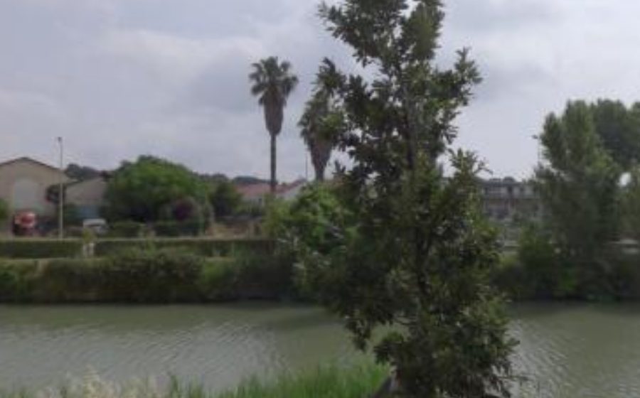 Vue du Rond-point anonyme n°77386803