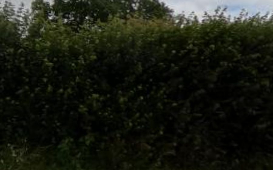 Vue du Rond-point anonyme n°782408202
