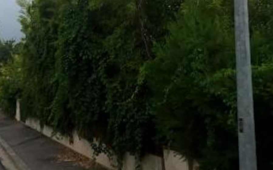 Vue du Rond-Point Rome