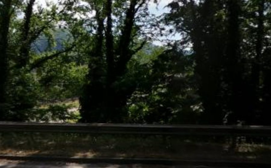 Vue du Rond-point anonyme n°8015898
