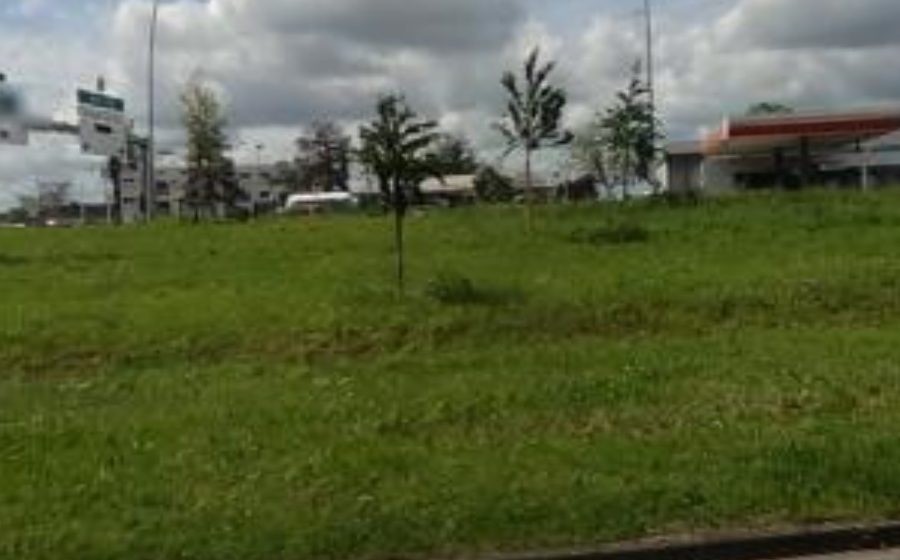 Vue du Rond-point anonyme n°804064077