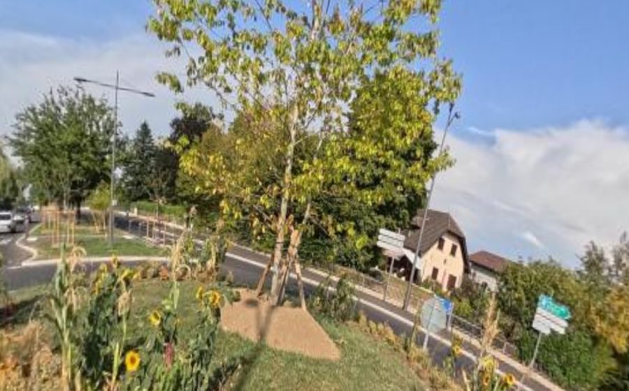 Vue du Rond-point anonyme n°8066942
