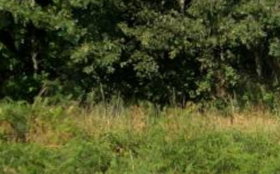 Vue du Rond-point anonyme n°80716917
