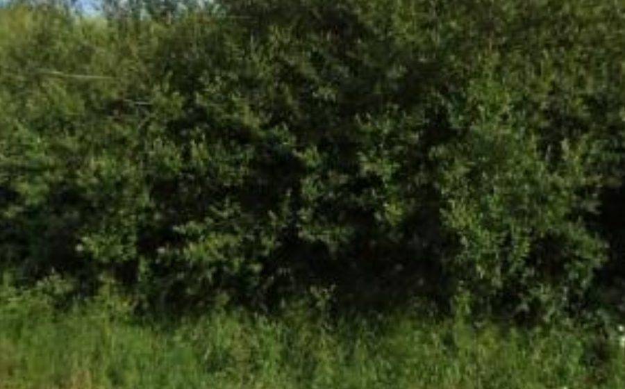 Vue du Rond-point anonyme n°8559549