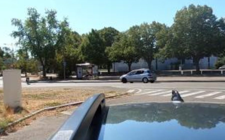 Vue du Rond-point anonyme n°86126820