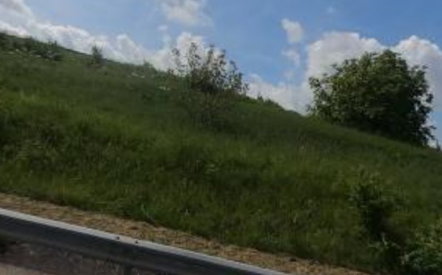 Vue du Rond-point anonyme n°86301048