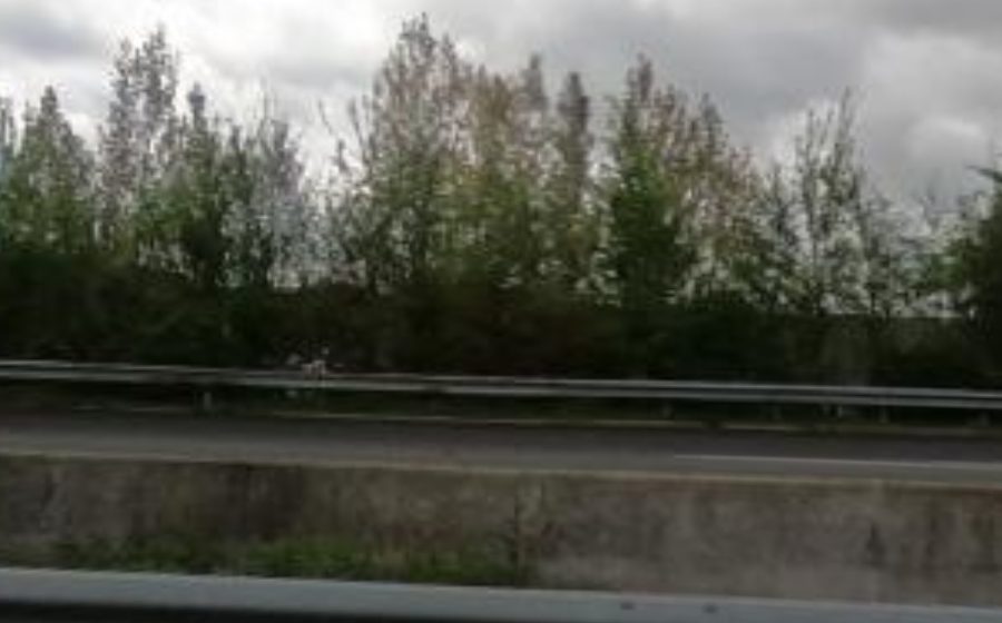 Vue du Rond-point anonyme n°88713612