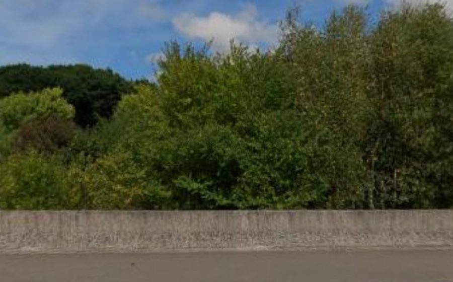 Vue du Rond-point anonyme n°88865853