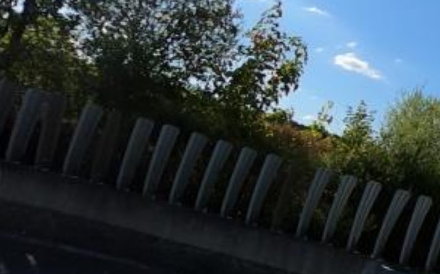 Vue du Rond-point anonyme n°89001508