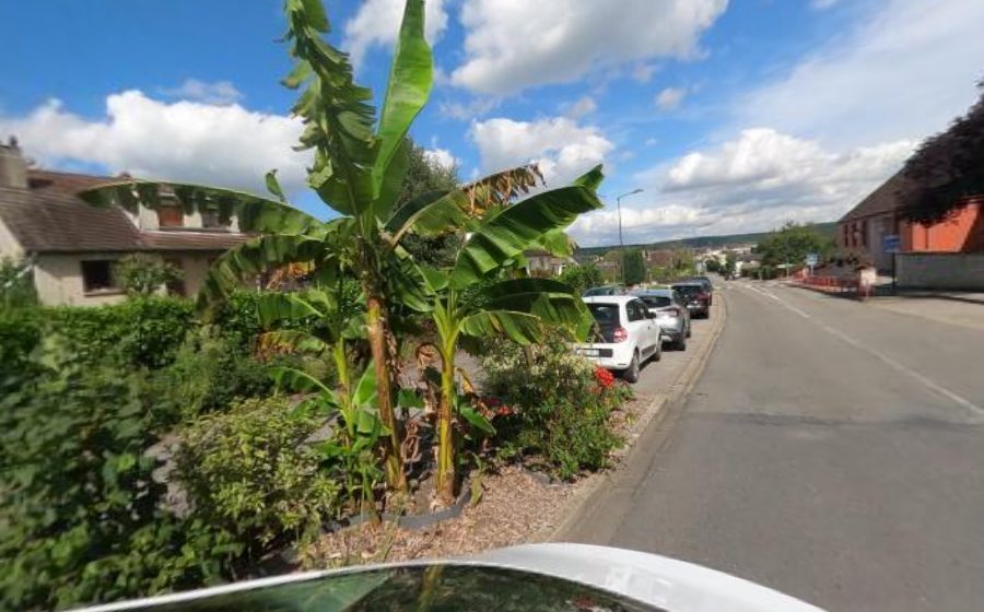 Vue du Rond-point anonyme n°892827720